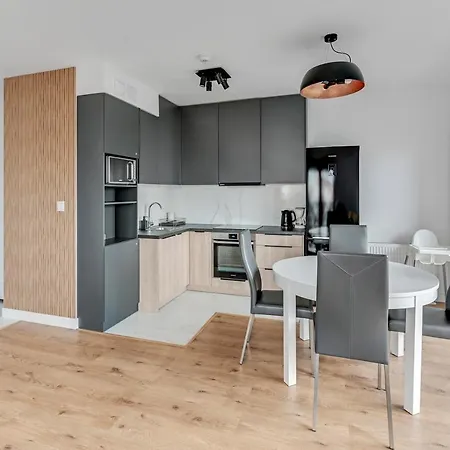 Dwie Motlawy Old Town * גדנסק